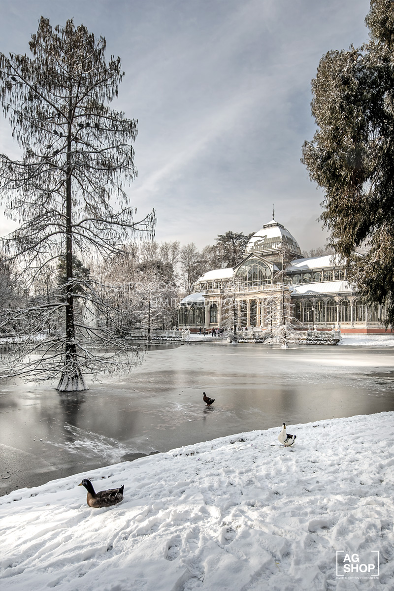 Madrid Nevado. Palacio de Cristal en el Parque del Retiro por Adolfo Gosálvez. Venta de Fotografía de autor en edición limitada. AG Shop