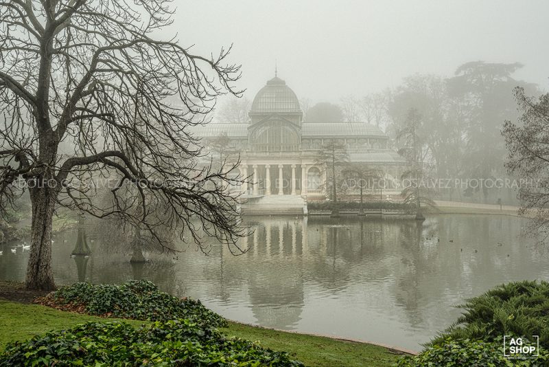 Retiro con niebla, Palacio de Cristal por Adolfo Gosálvez. Venta de Fotografía de autor en edición limitada. AG Shop