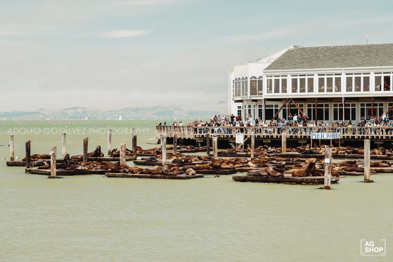 Pier 39, San Francisco, USA, por Adolfo Gosálvez. Venta de Fotografía de autor en edición limitada. AG Shop