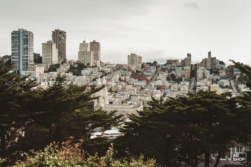 Vista panorámica de San Francisco, USA, por Adolfo Gosálvez. Venta de Fotografía de autor en edición limitada. AG Shop